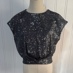 LOFT Silver Sequin Knot Cap Sleeve Lined Blouse size S